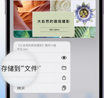 鹿泉apple维修中心分享iPhone文件应用中存储和找到下载文件