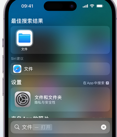 鹿泉apple维修中心分享iPhone文件应用中存储和找到下载文件 