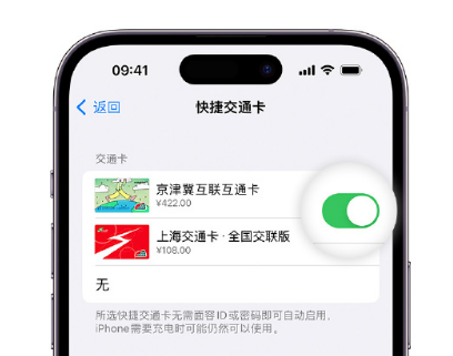 鹿泉apple维修点分享iPhone上更换Apple Pay快捷交通卡手绘卡面 