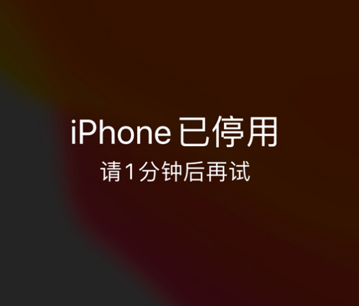 鹿泉苹果手机维修分享:iPhone 显示“不可用”或“已停用”怎么办？还能保留数据吗？ 