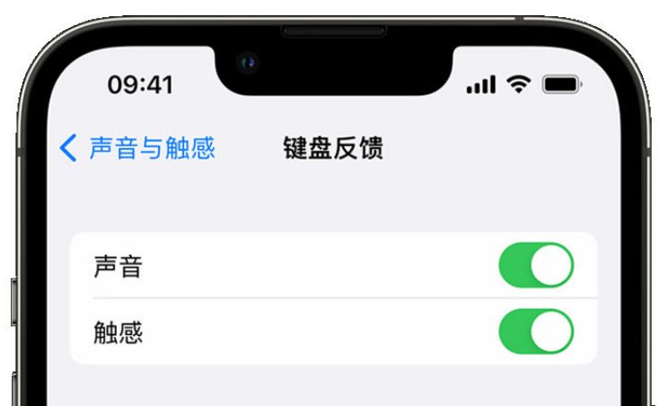 鹿泉苹果手机维修分享iPhone 14触感键盘使用方法 