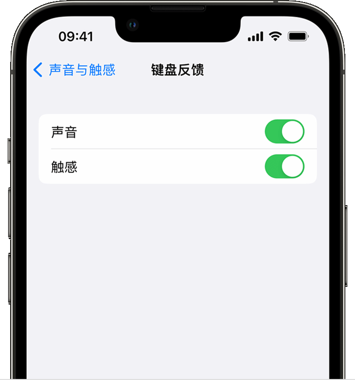 鹿泉苹果14维修店分享如何在 iPhone 14 机型中使用触感键盘 