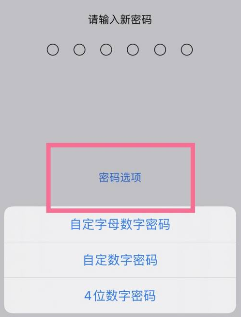 鹿泉苹果14维修分享iPhone 14plus设置密码的方法 