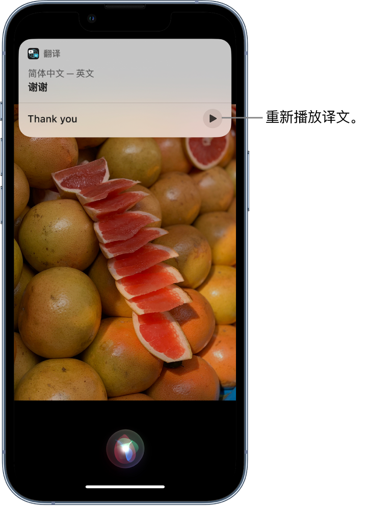 鹿泉苹果14维修分享 iPhone 14 机型中使用 Siri：了解 Siri 能帮你做什么 