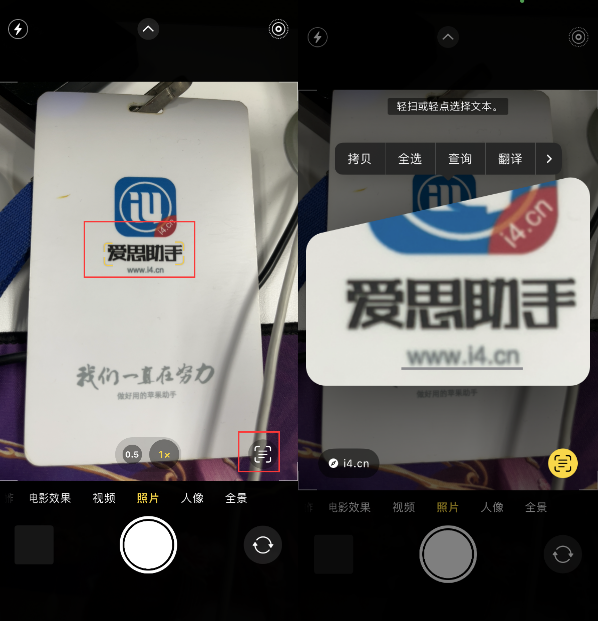 鹿泉苹果手机维修分享升级iOS 16后如何通过相机翻译文本 