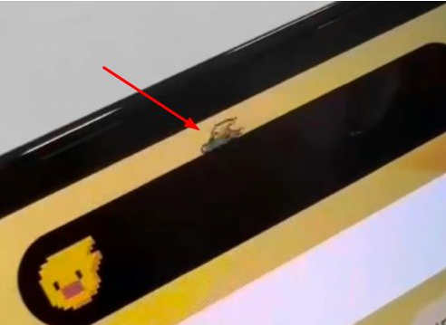 鹿泉苹果14维修分享iPhone 14 Pro Max灵动岛怎么养宠物 