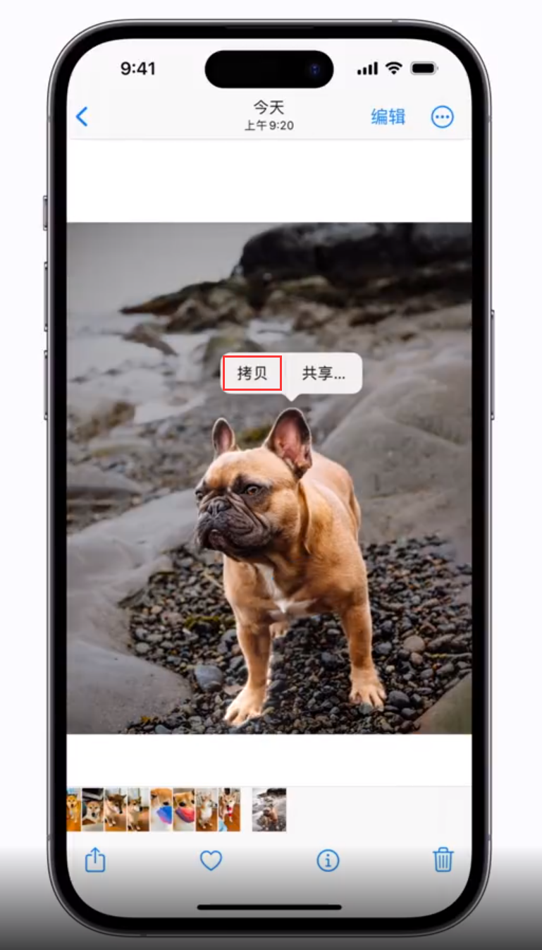 鹿泉苹果手机维修分享 iOS 16 自带一键抠图功能 
