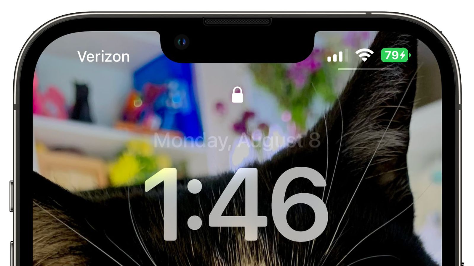 鹿泉苹果手机维修分享iOS 16 beta 5 支持状态栏显示电池百分比，如何开启？支持哪些机型 
