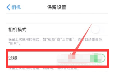 鹿泉苹果13维修分享iPhone13拍照有绿点是怎么回事 
