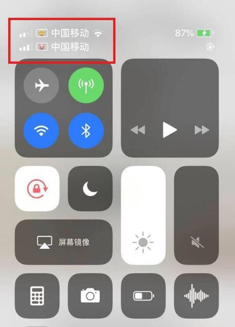 鹿泉苹果手机维修分享为 iPhone 12 双卡设置标签 